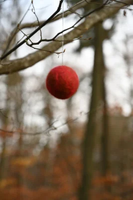 Foto des Albums: Wichtelweg