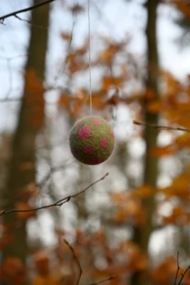 Foto des Albums: Wichtelweg