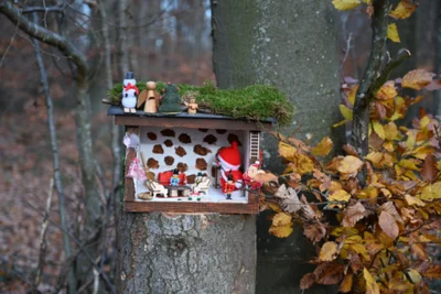 Foto des Albums: Wichtelweg