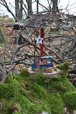 Foto des Albums: Wichtelweg