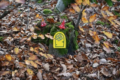 Foto des Albums: Wichtelweg