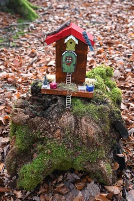 Foto des Albums: Wichtelweg