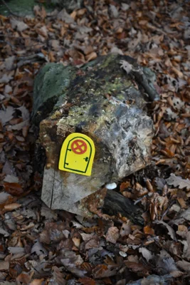 Foto des Albums: Wichtelweg