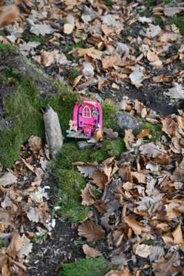 Foto des Albums: Wichtelweg