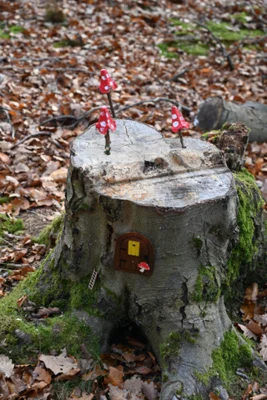Foto des Albums: Wichtelweg