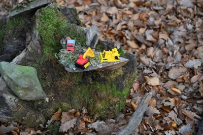 Foto des Albums: Wichtelweg