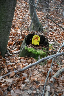 Foto des Albums: Wichtelweg