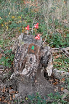 Foto des Albums: Wichtelweg