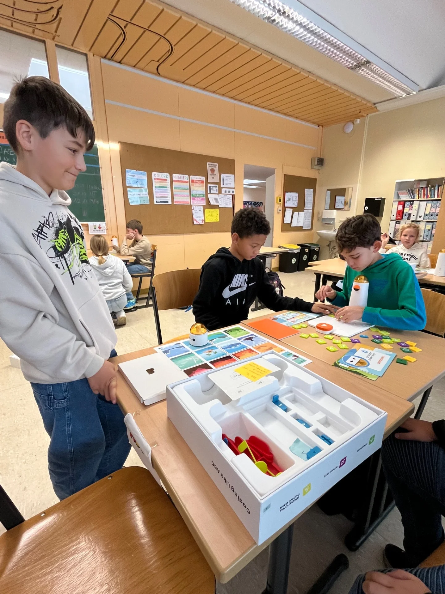 Bild der Galerie