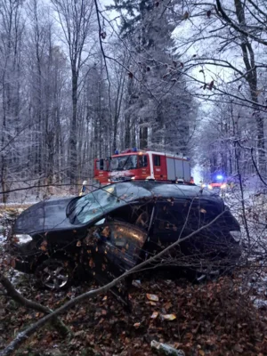 Foto des Albums: VU Wald Merkenfritz und Wenings