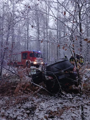 Foto des Albums: VU Wald Merkenfritz und Wenings