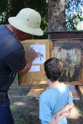 Foto des Albums: Sommer in Briesen