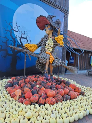 Foto des Albums: Herbstferien