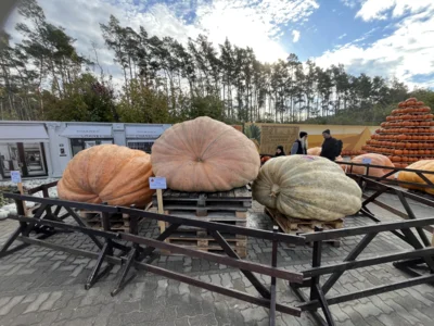 Foto des Albums: Herbstferien