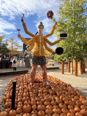 Foto des Albums: Herbstferien