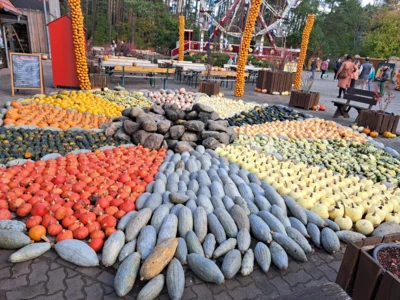 Foto des Albums: Herbstferien