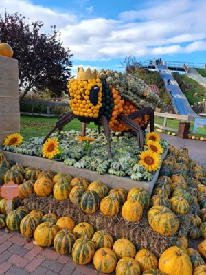 Foto des Albums: Herbstferien