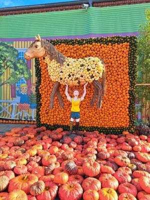 Foto des Albums: Herbstferien