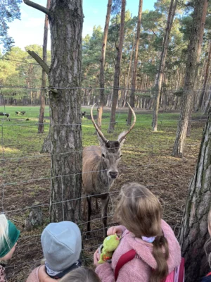 Foto des Albums: Herbstferien