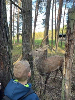 Foto des Albums: Herbstferien
