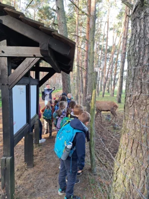 Foto des Albums: Herbstferien