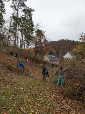 Foto des Albums: Herbstputz