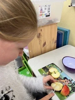 Foto des Albums: Klasse 2a und 2b: Apfelmus kochen
