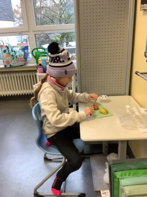 Foto des Albums: Klasse 2a und 2b: Apfelmus kochen