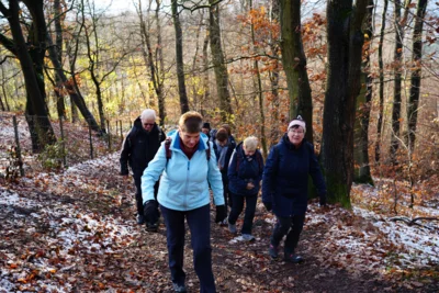 Eigez&auml;unt - Hochbeh&auml;lter Benthe  (Bild vergr&ouml;&szlig;ern)