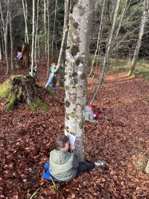 Foto des Albums: Naturparkmodul Wolf 2025