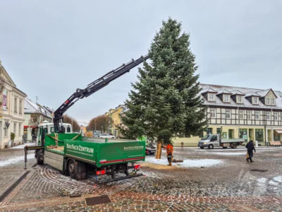 Foto des Albums: Der Weihnachtsbaum vor dem Rathaus wurde aufgestellt