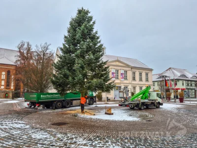 Foto des Albums: Der Weihnachtsbaum vor dem Rathaus wurde aufgestellt