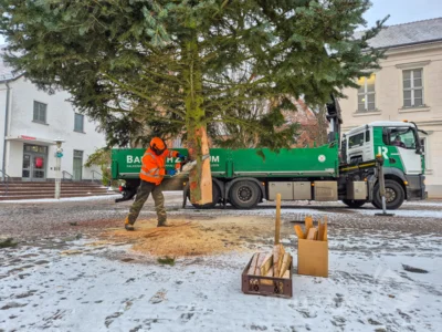 Foto des Albums: Der Weihnachtsbaum vor dem Rathaus wurde aufgestellt