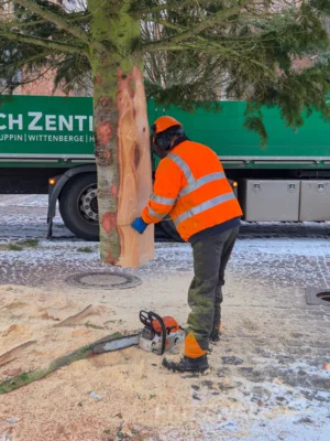 Foto des Albums: Der Weihnachtsbaum vor dem Rathaus wurde aufgestellt