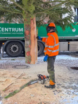 Foto des Albums: Der Weihnachtsbaum vor dem Rathaus wurde aufgestellt