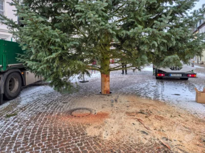 Foto des Albums: Der Weihnachtsbaum vor dem Rathaus wurde aufgestellt