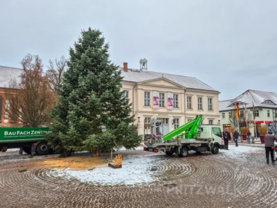 Foto des Albums: Der Weihnachtsbaum vor dem Rathaus wurde aufgestellt