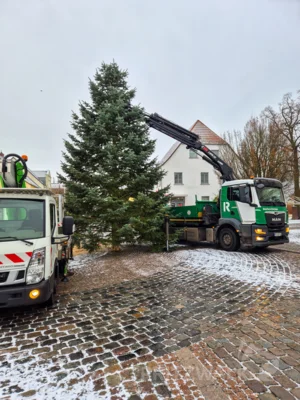 Foto des Albums: Der Weihnachtsbaum vor dem Rathaus wurde aufgestellt