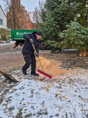 Foto des Albums: Der Weihnachtsbaum vor dem Rathaus wurde aufgestellt