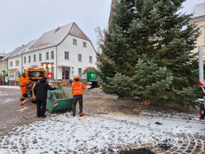 Foto des Albums: Der Weihnachtsbaum vor dem Rathaus wurde aufgestellt