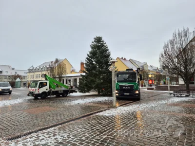 Foto des Albums: Der Weihnachtsbaum vor dem Rathaus wurde aufgestellt