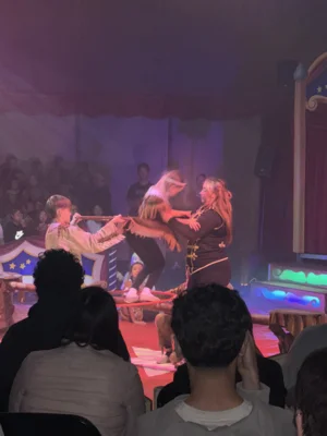 Foto des Albums: Schulprojekt:   Zirkus
