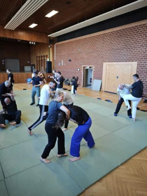Foto des Albums: Krav Maga Lehrgang mit Nenad Milosavljevic