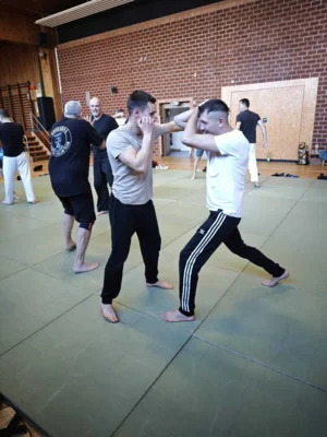 Foto des Albums: Krav Maga Lehrgang mit Nenad Milosavljevic