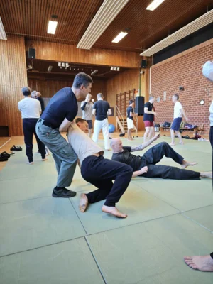 Foto des Albums: Krav Maga Lehrgang mit Nenad Milosavljevic