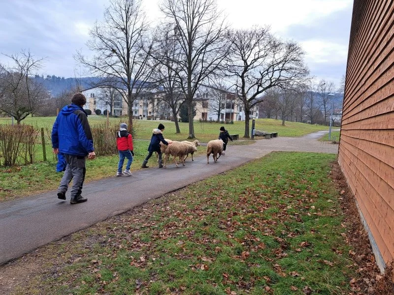 Bild der Galerie