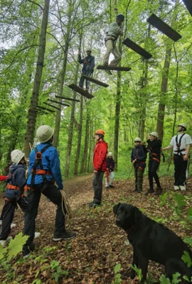 Foto des Albums: Lerngruppe 8b der Heinrich-Schickhardt-Gemeinschaftsschule Bad Boll im Kanu Camp im Altmühltal