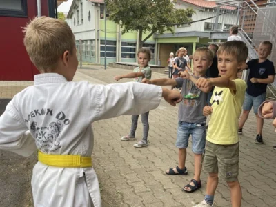 Foto des Albums: Taekwondo
