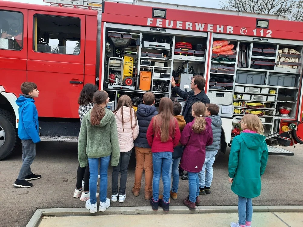 Bild der Galerie