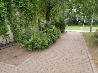 Foto des Albums: Juni 2025 Kindertag Arbeitseinsatz